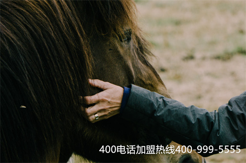 (400全國客服電話)(400電話讓企業(yè)客服更加正規(guī)專業(yè))