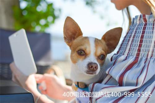 (400電話是辦理什么的)(打400電話是免費(fèi)的嗎)