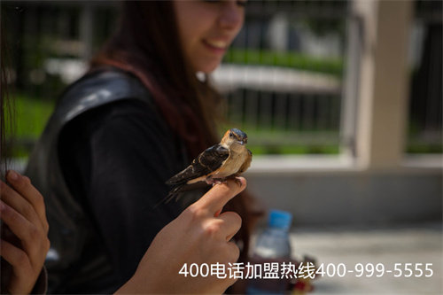 (400電話哪家)(400電話開通多少錢？)